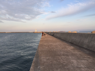 タチウオチェック