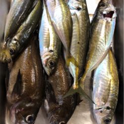 ウィンドウドリフト!