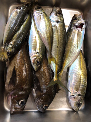 ウィンドウドリフト!