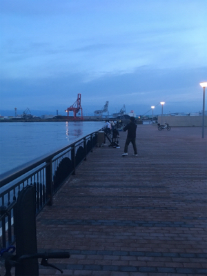 ツバス 天保山中央突堤