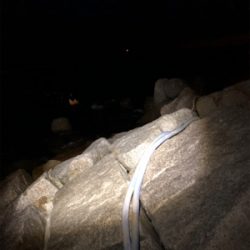 メバリングのはずが・・・