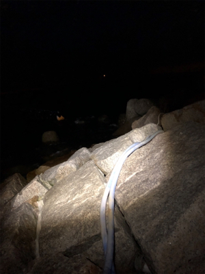 メバリングのはずが・・・