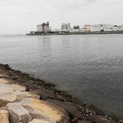 アタリ多数あり