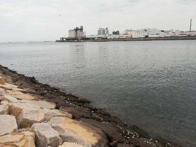 アタリ多数あり