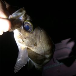 爆風ライトゲーム