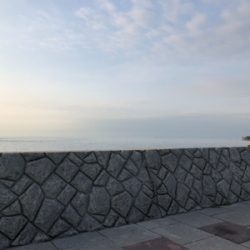 梅雨?メバリング