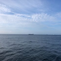 沖堤にて四目達成…小ぶりですが^_^