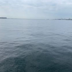 ツバスおっきくなってきた♫