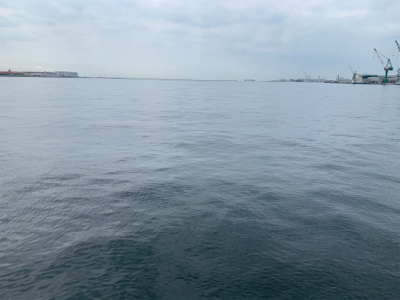 ツバスおっきくなってきた♫