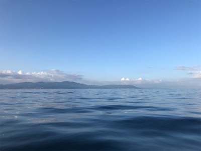 明石恵比寿丸  タコ釣り