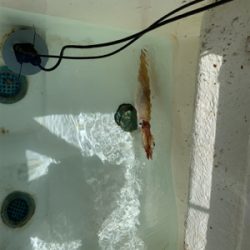 マイボートでイカ調査&キャスティングゲーム