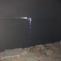 青物もシーバスもあかんかった