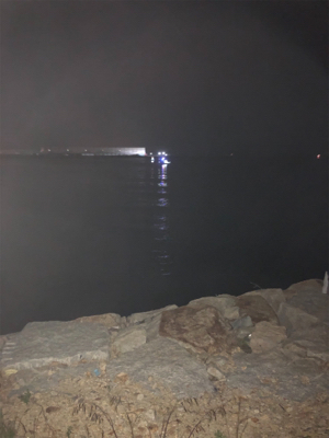 青物もシーバスもあかんかった