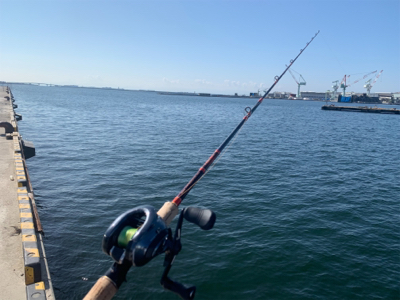 大真鰯の醸す夢は