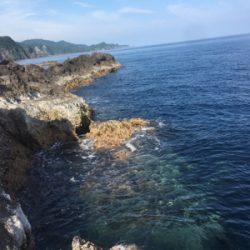 春烏賊これから☆GUNNING-STYLE