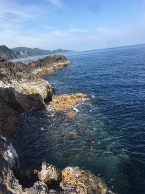 春烏賊これから☆GUNNING-STYLE