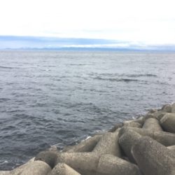 貝塚ライトゲームで7目達成！