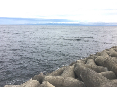 貝塚ライトゲームで7目達成！