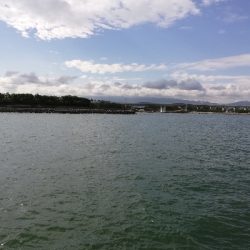 子供と一緒にチョイ投げる