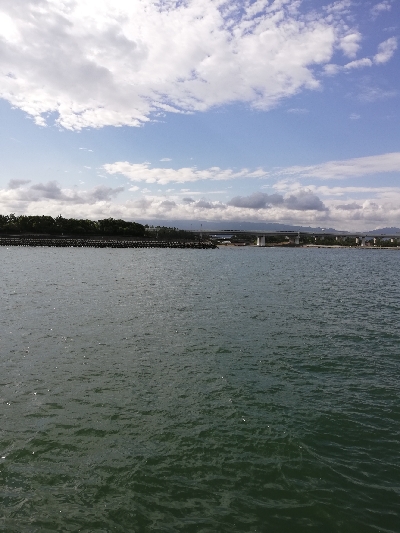 子供と一緒にチョイ投げる