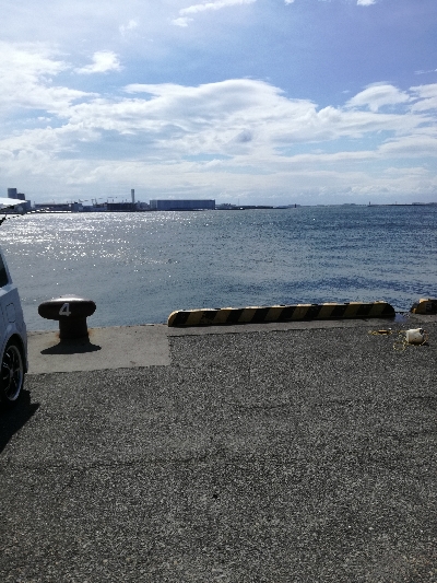 エイ　ボラ多い