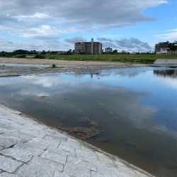 武庫川河川敷ナマズゲーム