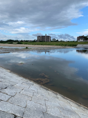 武庫川河川敷ナマズゲーム