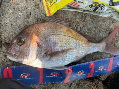 玉野 六郎島 沖磯フカセ