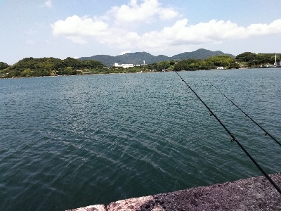 時津港ＩＮ　キス釣り+α