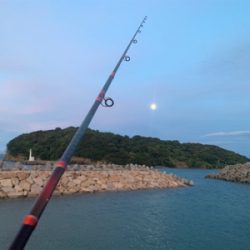 三日越しの、淡路撃沈の、結局。