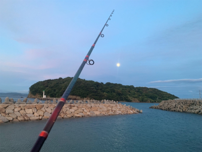 三日越しの、淡路撃沈の、結局。