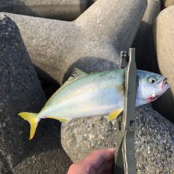 メタルマルハンパないって!