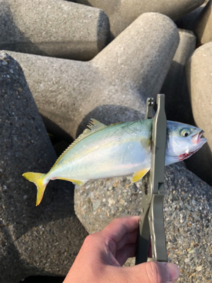 メタルマルハンパないって!