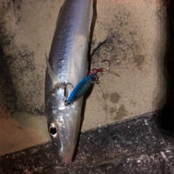 アジングタックルで！！