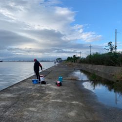 エビ撒きでスズキ！