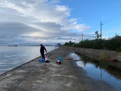 エビ撒きでスズキ！