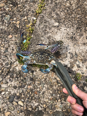 ちょい投げキス