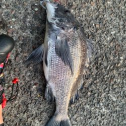 夕方からチニング