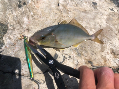 ライトタックルでデイゲーム♪