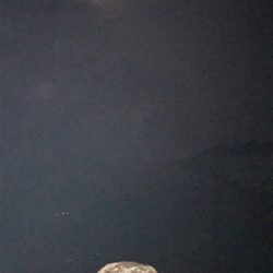 昨日に続きアオリGET (^^)/