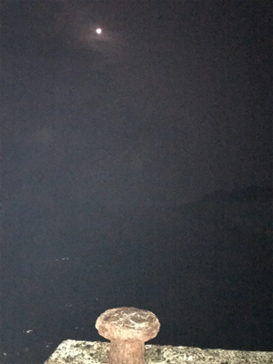 昨日に続きアオリGET (^^)/