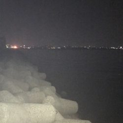 やっとアオリGET o(^o^)o