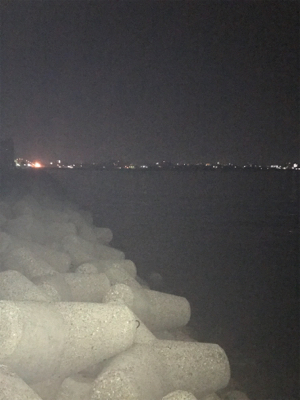 やっとアオリGET o(^o^)o