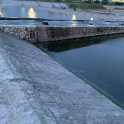 夕方ナマズゲーム