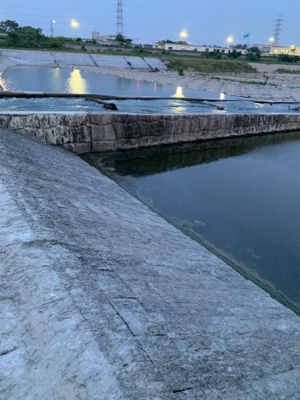 夕方ナマズゲーム