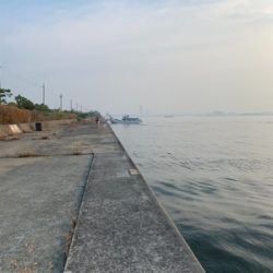 エビ撒きで スズキ好調!