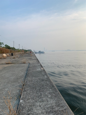 エビ撒きで スズキ好調!