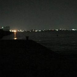 まさかの3日連続アオリGET (^^)v