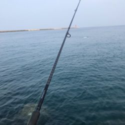 遠征大成功！太くて長いの