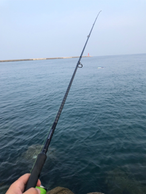 遠征大成功！太くて長いの